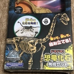 恐竜化石発掘セット ブラキオサウルス  恐竜フィギュア付