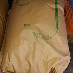 残り1袋 No.8  令和4年産お米(キヌヒカリ) 玄米30kg