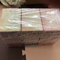 DVD 十二国記 全巻セット 限定BOX付き 全19巻