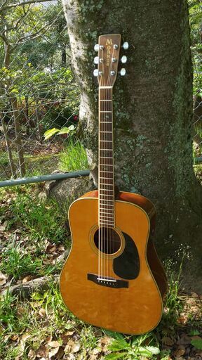 MORRIS 1978 ハカ杢目劇美 ネックコンディション良好 バック3P 試奏してください