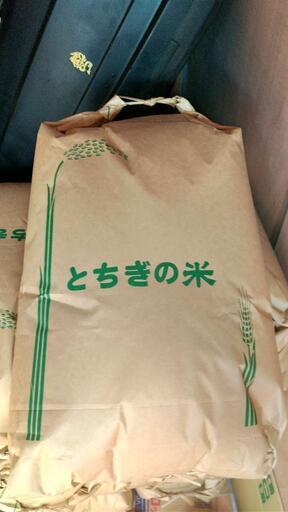 令和５年栃木県佐野市産 コシヒカリ 玄米 ３０キロ