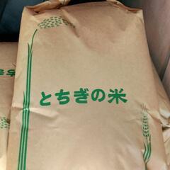 令和５年栃木県佐野市産 コシヒカリ 玄米 ３０キロ