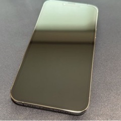 美品 iPhone 13 Pro Max 256GB グラファイト Appleストア購入品 SIMフリー カバー付き