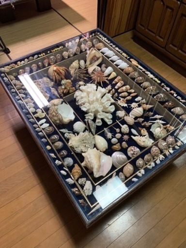 貝殻コンクションテーブル