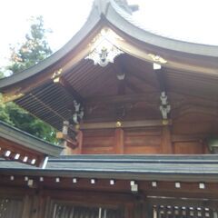 神社が好きな人募集