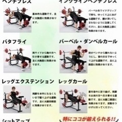 ホームジムセット(おまけ付き)