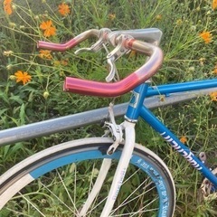 ストリートピストパイク　自転車　シングルスピード　適応身長175〜185程度　ブレーキ若干難あり　