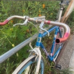 ストリートピストパイク　自転車　シングルスピード　適応身長175〜185程度　ブレーキ若干難あり　