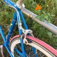 ストリートピストパイク　自転車　シングルスピード　適応身長175〜185程度　ブレーキ若干難あり　