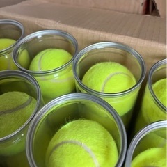 テニスボール硬式　空気圧再生球差し上げます。