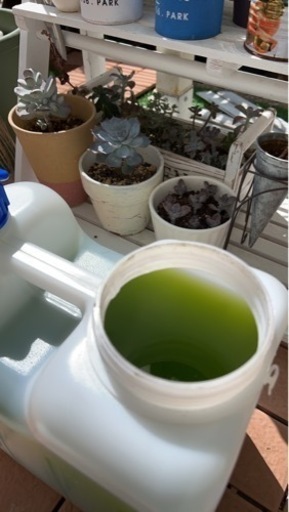 微生物原料10L 特許取得製品！窒素リン酸カリが豊富