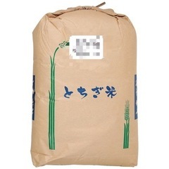 令和４年産　コシヒカリ〈古米）玄米３０Kg １袋