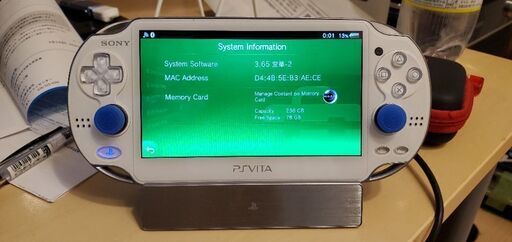 PS Vita-1000、8GBメモリーカード、256GB SDカード、ドック、キャリーケース付き