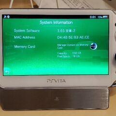 PS Vita-1000、8GBメモリーカード、256GB SD...