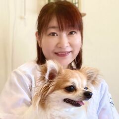 ペットの健康維持のためにホリスティックケアを学びましょう − 東京都