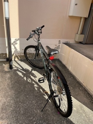 コールマン自転車（決まりました）