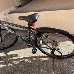 コールマン自転車（決まりました）