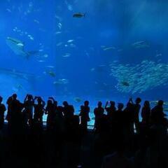 街中水族館🐠コン💛20代限定イベント