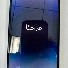 iPhone 14 Pro Max 256 GB SIMフリー 