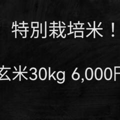 特別栽培米！玄米30kg6000円！お米！