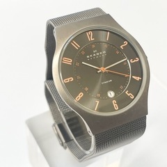 SKAGEN 腕時計　希少カラー　電池新品