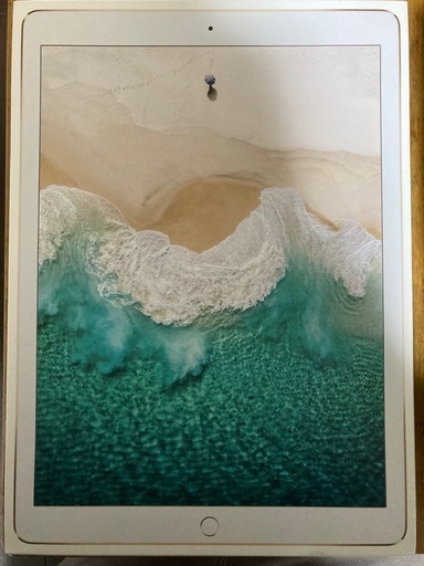 Apple iPad Pro IPAD PRO アイパッドプロ　12.9 WI-FI 64GB中古 (第2世代)