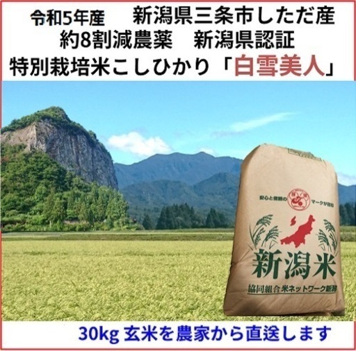 令和5年産新米 減農薬 新潟こしひかり玄米30kg 新潟県三条市旧しただ村産 減農薬 特別栽培米100%白雪美人 グルテンフリー 送料無料