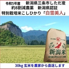 【ネット決済・配送可】令和5年産新米　減農薬　新潟こしひかり玄米...