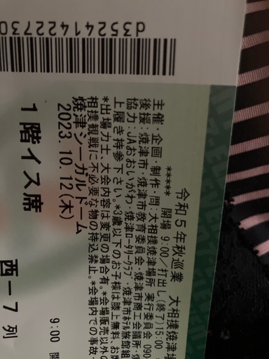 大相撲　巡業　焼津　チケット