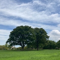 三重県🚶ウォーキング🚶ハイキング🚶メンバー募集🚶