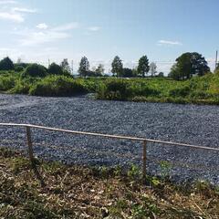 貸地 埼玉県での長期オートキャンプにいかがでしょうか？