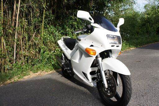 ZZR250 1994年式　レストア済み　エンジン一発始動