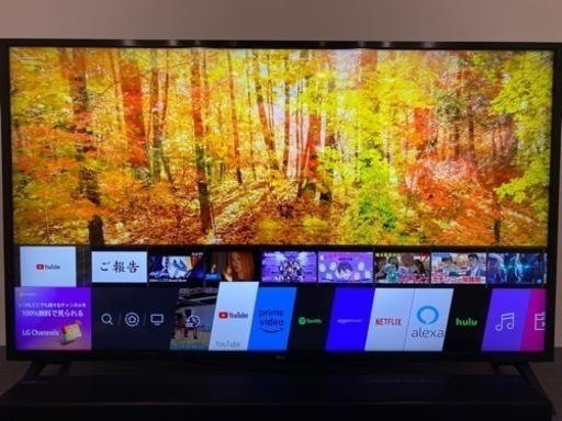 2020年9月 新品購入 4K液晶TV 50型 LG