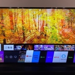 2020年9月 新品購入 4K液晶TV 50型 LG