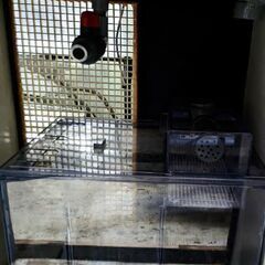 直径50cm 高さ49cm円柱水槽オーバーフローセット