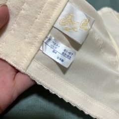 フォーシスアンドコー　FOURSIS&CO ブライダルインナー