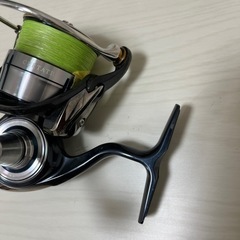 19セルテート3000