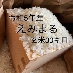 令和5年『えみまる』玄米30キロ8000円[残り7袋]