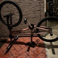 BMX