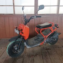  値下げ ホンダ　ズーマー　５０　ノーマル車両