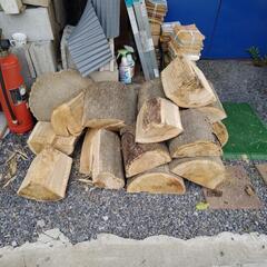 樫の木の薪