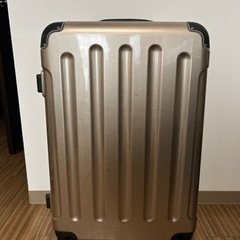スーツケース 大きいサイズ