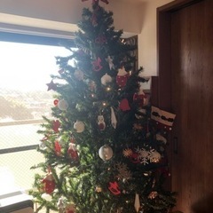 クリスマスツリー(2mくらいあるかもしれません)