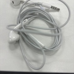 Apple Ear Pods 