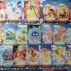 ポケモン アドバンスジェネレーション カードダス 図鑑カード 