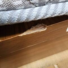 【愛品倶楽部柏店】フランスベッド  跳ね上げ式シングルベッド