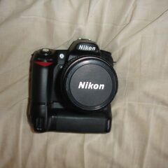 NIkon D80 AF Nikkor 28_105 f3.5-...