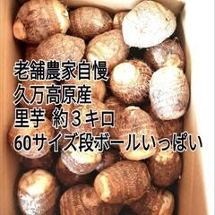 【久万高原産】老舗農家自慢の里芋　箱込み約3kg 　60サイズ段...