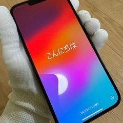 iPhone13promax 【中古 超美品】残債無 SIMフリー 初期化済