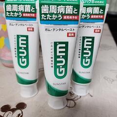 GUM　ノーマル3本歯みがき粉